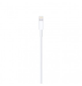Câble Apple USB vers Lightning 2m