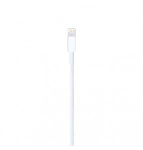 Câble Apple USB vers Lightning 2m