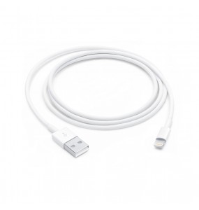 Câble Apple USB vers Lightning 2m