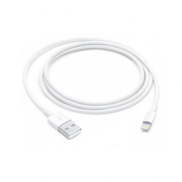 Câble Apple USB vers Lightning 2m