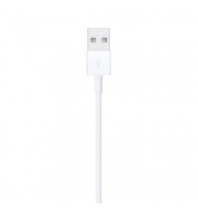 Câble Apple USB vers Lightning 2m