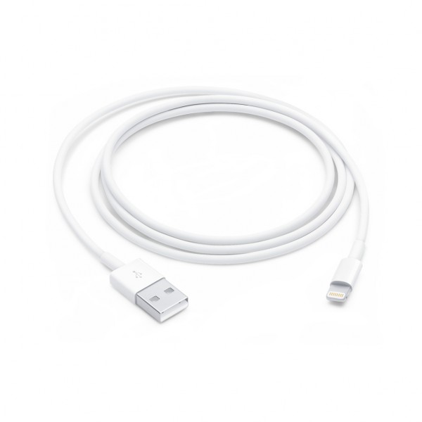 Câble Apple USB vers Lightning 0.5m