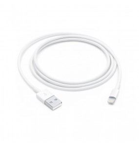 Câble Apple USB vers Lightning 1m
